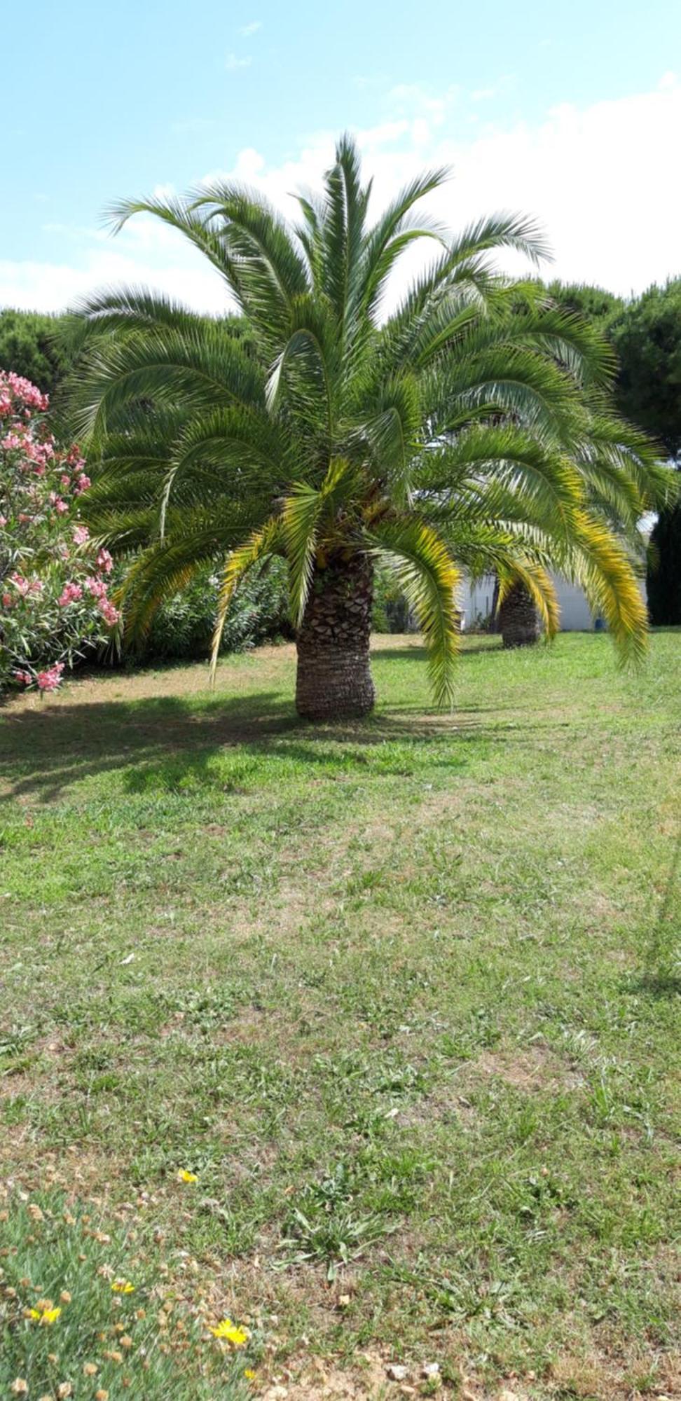 Residence Les Floralies 2 - Avenue De Camargue Le Grau-du-Roi Zewnętrze zdjęcie